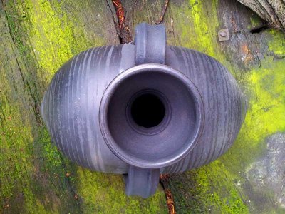 ceramica negra de Llamas de Mouro
