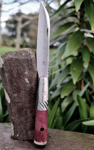 Navaja artesanal asturiana de Taramundi