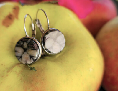 Pendientes de Quiastolita