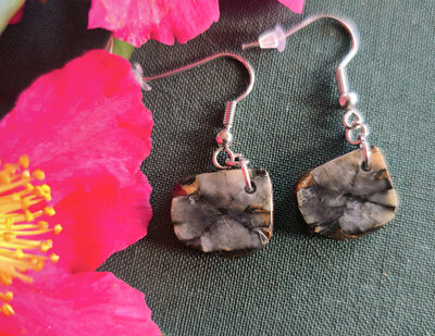 Pendientes de Quiastolita