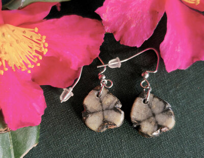 Pendientes de Quiastolita