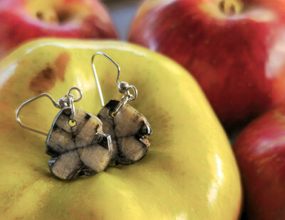 Pendientes de Quiastolita