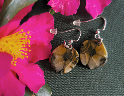 Pendientes de Quiastolita
