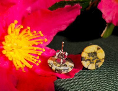 Pendientes de Quiastolita