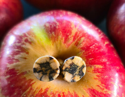 Pendientes de Quiastolita