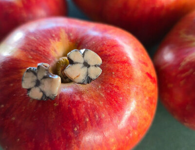 Pendientes de Quiastolita