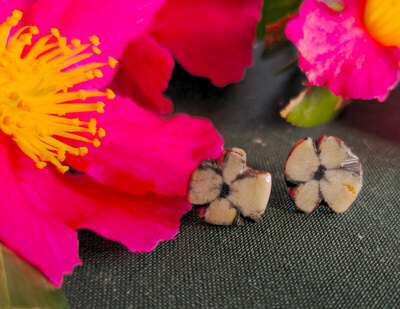 Pendientes de Quiastolita