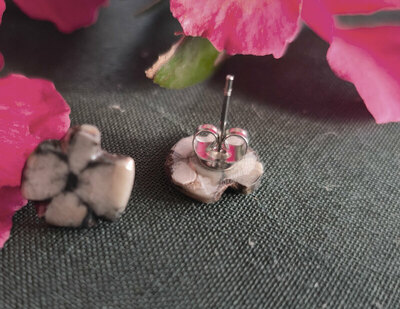 Pendientes de Quiastolita