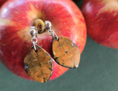 Pendientes de Quiastolita