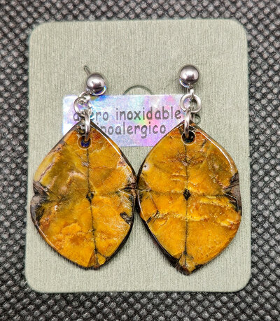 Pendientes de Quiastolita pin 5