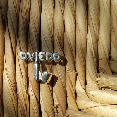 Pin Oviedo Plata